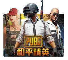 pp image
