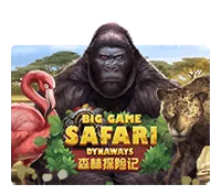 pp image