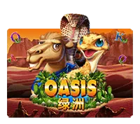 pp image