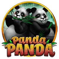 pp image