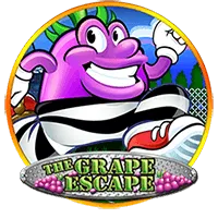 pp image